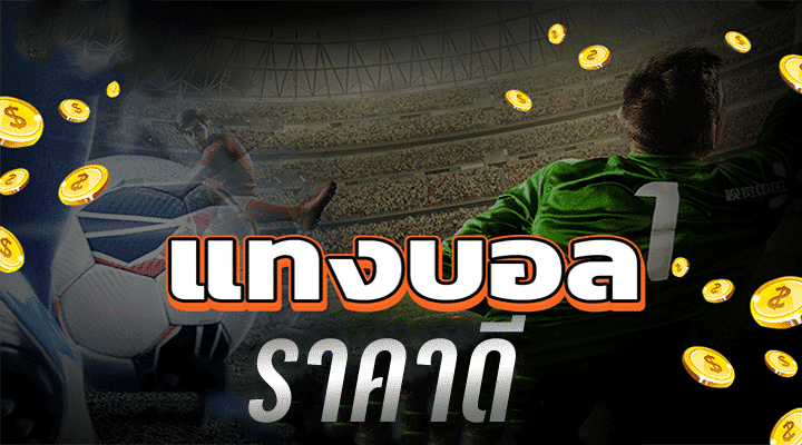 แทงบอล77