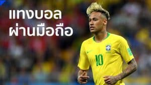 แทงบอลSBOBET